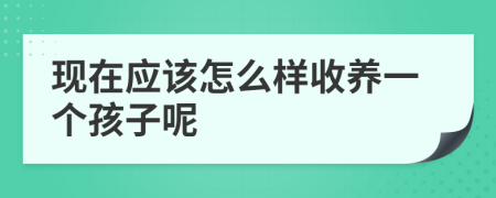 现在应该怎么样收养一个孩子呢