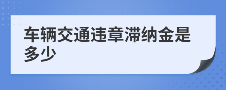 车辆交通违章滞纳金是多少