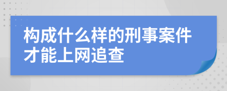 构成什么样的刑事案件才能上网追查