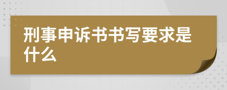 刑事申诉书书写要求是什么