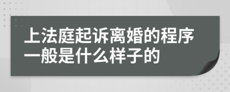 上法庭起诉离婚的程序一般是什么样子的