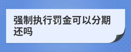 强制执行罚金可以分期还吗