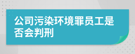 公司污染环境罪员工是否会判刑