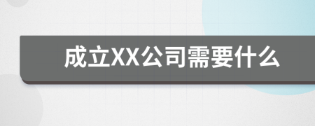 成立XX公司需要什么