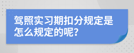 驾照实习期扣分规定是怎么规定的呢？