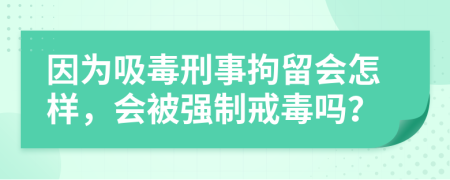 因为吸毒刑事拘留会怎样，会被强制戒毒吗？