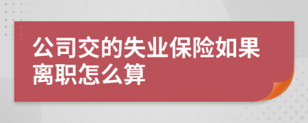 公司交的失业保险如果离职怎么算