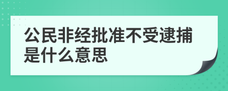 公民非经批准不受逮捕是什么意思