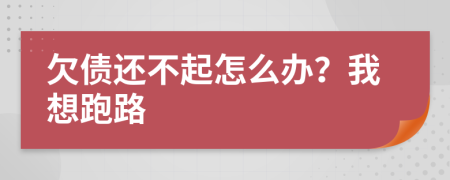 欠债还不起怎么办？我想跑路