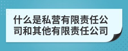 什么是私营有限责任公司和其他有限责任公司