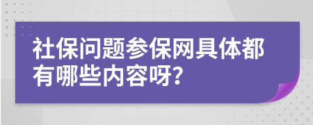 社保问题参保网具体都有哪些内容呀？