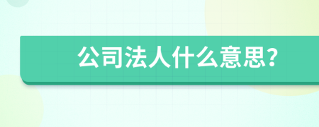 公司法人什么意思？