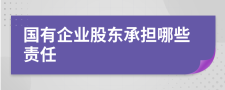 国有企业股东承担哪些责任