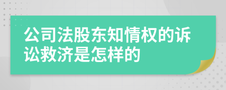 公司法股东知情权的诉讼救济是怎样的