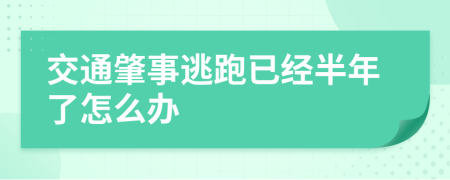 交通肇事逃跑已经半年了怎么办