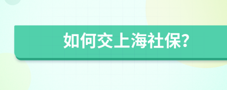 如何交上海社保？