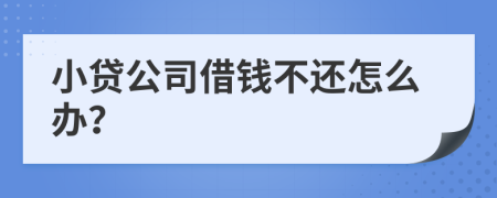 小贷公司借钱不还怎么办？