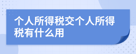个人所得税交个人所得税有什么用