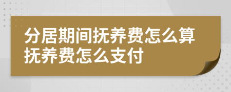 分居期间抚养费怎么算抚养费怎么支付