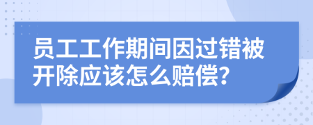 员工工作期间因过错被开除应该怎么赔偿？