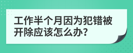 工作半个月因为犯错被开除应该怎么办？