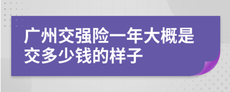 广州交强险一年大概是交多少钱的样子