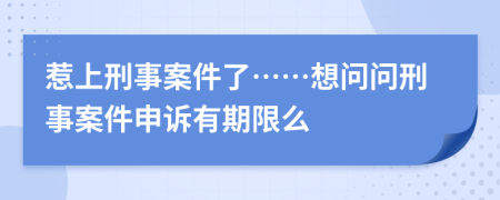 惹上刑事案件了……想问问刑事案件申诉有期限么