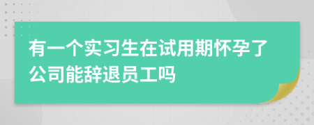 有一个实习生在试用期怀孕了公司能辞退员工吗