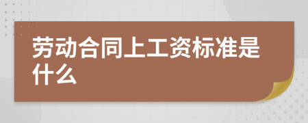 劳动合同上工资标准是什么
