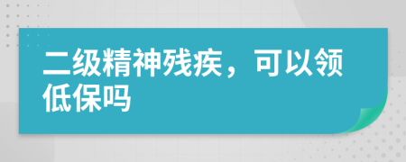 二级精神残疾，可以领低保吗