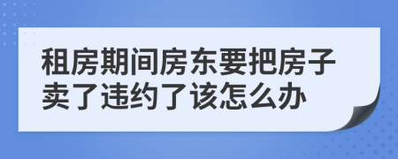 租房期间房东要把房子卖了违约了该怎么办