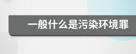 一般什么是污染环境罪