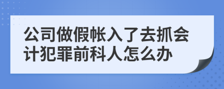 公司做假帐入了去抓会计犯罪前科人怎么办