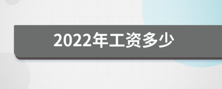 2022年工资多少