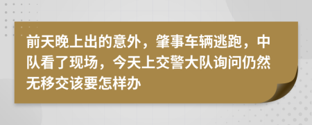 前天晚上出的意外，肇事车辆逃跑，中队看了现场，今天上交警大队询问仍然无移交该要怎样办