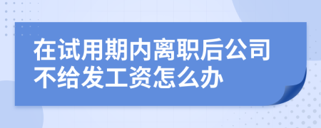 在试用期内离职后公司不给发工资怎么办