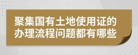 聚集国有土地使用证的办理流程问题都有哪些