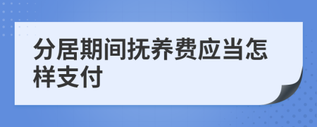 分居期间抚养费应当怎样支付