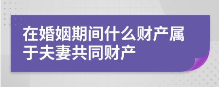 在婚姻期间什么财产属于夫妻共同财产