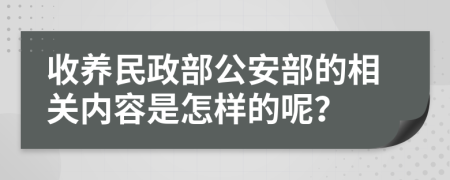 收养民政部公安部的相关内容是怎样的呢？