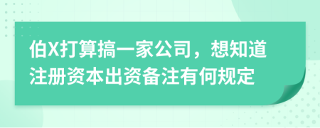 伯X打算搞一家公司，想知道注册资本出资备注有何规定