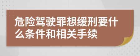 危险驾驶罪想缓刑要什么条件和相关手续