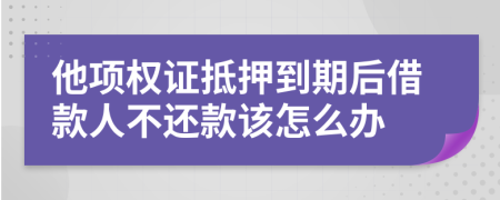 他项权证抵押到期后借款人不还款该怎么办