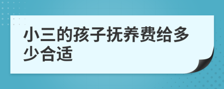 小三的孩子抚养费给多少合适