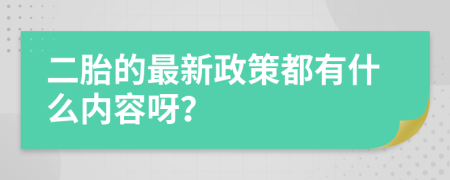 二胎的最新政策都有什么内容呀？