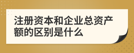 注册资本和企业总资产额的区别是什么