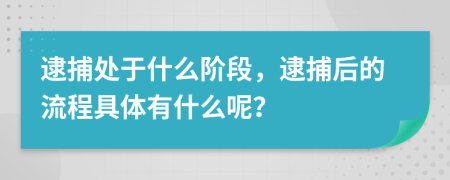 逮捕处于什么阶段，逮捕后的流程具体有什么呢？