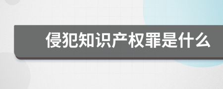 侵犯知识产权罪是什么