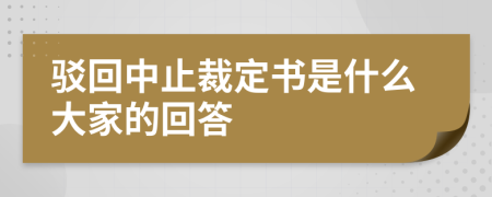 驳回中止裁定书是什么大家的回答