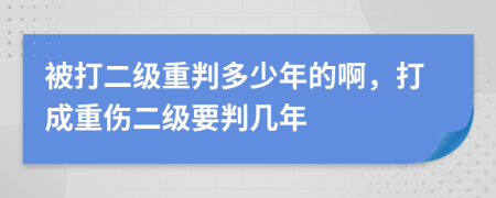 被打二级重判多少年的啊，打成重伤二级要判几年